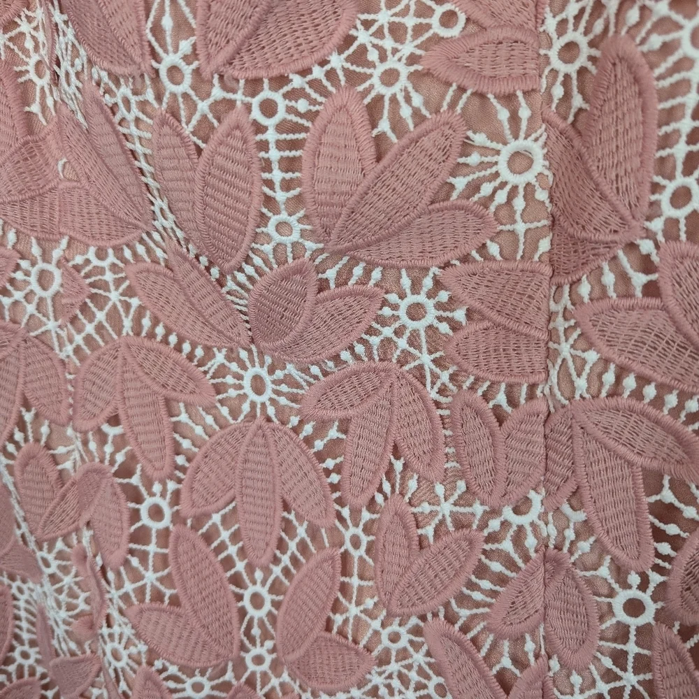 Dress the Population Pink and White Lace Mini Dress - Picture 3 of 3